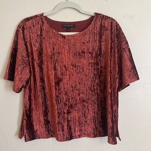 NWOT. Banana Republic Textured velour Tshirt